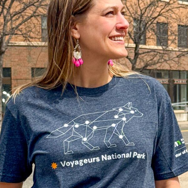 Dark Skies - Wolf Thumbnail